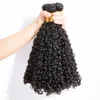 Masse di capelli Brasiliano 10A Piccole spirali Fasci ricci Non trasformati Kinky Human Pixie Curls Weave Only Extension 3B 3C 230609