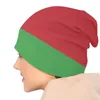 Boinas Bandeira da Bielorrússia Gorros Bonés Para Homens Mulheres Unissex Rua Inverno Quente Chapéu De Malha Adulto Bonnet Hats