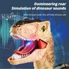 2.4G RC Dinosaur Raptor Velociraptor Simulazione Animale Telecomando Jurassic World Electric Walking Dinosaur Giocattolo per bambini Regalo