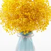 Fiori decorativi 100g Teste Neonati Alito essiccato Naturale Fresco Secco Conservato Gypsophila Forniture nuziali San Valentino Fiore artificiale