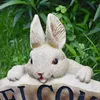 Garden Decorations Cartoon animal bunny welcome sign balcony outdoor garden villa courtyard decoration ornaments garden lawn backyard pavilion 230609