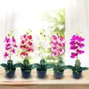 Kwiaty dekoracyjne 1 zestaw orchidei kolorowy mikro krajobraz dekoracja fałszywy phalaenopsis bonsai symulacja ozdoby ślubne