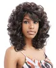 Synthetic Long Curly Wigs with Bangs Brown Wig Highlights African American Wig Curly Wave Heat Resistant Wigs for Womenfactory