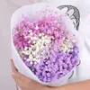 Flores decorativas 100gNatural secas preservadas Gypsophila Paniculata Buquês de flores para bebês Presente para árvore de Natal de casamento