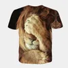 Homme T-shirt Tee Shirt Tee Graphique Animal Patte de Lion Col Arrondi Impression 3D Quotidien Vacances Manches Courtes Imprimé Vêtement Tenue Chic de Rue Exagéré Cool