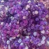 Fiori decorativi 100gGypsophila Baby Breath Million Stars Pianta naturale conservata essiccata Home Wedding Articoli natalizi con nave gratuita