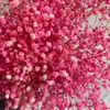 Decoratieve Bloemen 100g Hoofden Baby's Adem Gedroogd Natuurlijk Vers Droog Geconserveerd Gypsophila Bruiloft Decoratie Valentijnsdag Cadeau Pampas