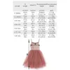 Mädchen Kleider 2023 Kinder Mädchen Sommerkleid für 9M 6T Solide Tüll Tutu geboren Ballett Kostüm Kleinkind Party Hochzeit Spitze Hosenträger 230609