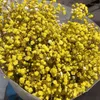 Dekoratif Çiçekler 100 Geceli Kurutulmuş Korunmuş Gypsophila Paniculata Bebeğin Nefes Çiçek Buketleri Gelin Düğün Buket Noel