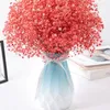 Декоративные цветы натуральные сушеные цветочные гипсофилы букет свадебный праздник