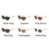 Lunettes de soleil Vintage petit œil de chat femme marque mode Punk lunettes de soleil femmes nuances rétro dames luxe Designer