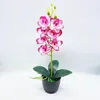 Fiori decorativi 1 set orchidea colorata micro paesaggio che decora finti ornamenti di nozze di simulazione di bonsai di Phalaenopsis