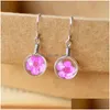 Charm Dandelion Dried Flowers Earring 6 Colors Real Daffodils Flower Earrings Glass Ball Pressed Dangle Earing Jewelry Gift Wholesal Dhavc