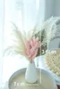 Dekorativa blommor 1set Diy Dry Palm Fan Leaf Torkad Natural Plant Leaves Party Wedding Arrangement Flower With Vase Room Decoration