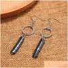 Dangle Lustre Pierre Naturelle Hématite Perle Boucles D'oreilles Pour Les Femmes Personnalité Féminine Irregar Forme Goutte Longue Boucle D'oreille Conception Bijoux Dhptx