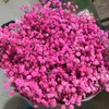 Dekoratif Çiçekler 100 Geceli Kurutulmuş Korunmuş Gypsophila Paniculata Bebeğin Nefes Çiçek Buketleri Gelin Düğün Buket Noel