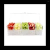 Garrafas de armazenamento Refrigerado Plato de condimento Piquenique -Mantendo a caixa de gelo -Grid Split Fruit tempero