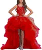 Girl Dresses Elegant Flower Dress For Wedding Princess High Low Appliques Puffy Tulle Pageant Ball Gowns