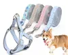 犬の首輪ナイロンペットハーネスプルプル調整可能なリーシュベストクラシックランニングストラップベルトが小さくて中程度であるため