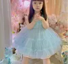 Girl's Dresses Retail Baby Girls Summer Boutique Blue Mesh Tutu Party Dress Princess Kids Sweet Dresses Holiday 1-6 T 230609