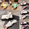 2023 Paris bordados designers deslumbrantes sandálias femininas listras de praia casual Slipers Sliders Sliders Ladies Flip Flip Bornoide 35-41