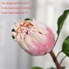 Dekorativa blommor En silke Big Protea Cynaroides Simulering Pitaya Flower STEM för bröllop Hem Konstgjord