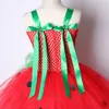 Girl's Dresses Baby Girls Tutu Dress Strawberry Princess Dresses For Kids Girl Birthday Costume Watermelon Halloween Christmas Costumes Toddler 230609