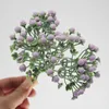 Fleurs décoratives 6 branches/bouquet Simulation herbe en plastique petite boule de mousse fruits fausse fleur bricolage accessoires minuscule boîte-cadeau décor matériel