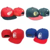 Ball Caps Nieuwe aankomst Tisa Lastkings Snapback Bone Caps All Wool Hats LK Baseball Cap Men Women Hip Hop Sport Verstelbare HAT330G