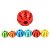 Bola de juguete para tratar perros, divertida elasticidad interactiva, juguete para masticar para mascotas, bolas de limpieza de dientes para perros, goma Extra resistente de 5cm