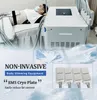 Cryopad Fat Freeze Slant Machine Criolipolisis Body Sculpting Cryopod Body Shaping Machine med Cryo Pads Lipolysis ABS REBUILT SYSTEMS