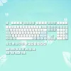 Accessoires 133Keys Ice Mint Keycap XDA -Profil Dyesub Personalisierte PBT -Taste für mechanische Tastatur MX Cherry DZ60 RK61 64 GK61