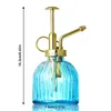 Equipos de riego, lata de aspersión, botella de Spray de agua de vidrio, 1 Uds., transparente, 200ML, 16 7,5 cm, reutilizable con bomba dorada, planta azul cielo para jardín