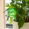 Vattenutrustning växthus trädgård automatisk växt glödlampor själv bollar vatten enhet plast glober dropp bevattningssystem