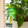 Attrezzature per l'irrigazione Serra da giardino Lampadine per piante automatiche Dispositivo per l'acqua con palline automatiche Globi in plastica Sistema di irrigazione a goccia