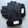 Herfst mannen vrouwen handschoen winter warm imitatiebont een schapen imitatie haarpunten verdikking handschoenen pluche voering rijden winddicht gl253g