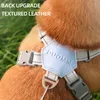 X-vormige Pet Harnas Vest en Leash Set voor Kleine Meidum Honden Reflecterende Puppy Kat Harnas Ademend Mesh Wandelen Borstbanden