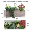 Kwiaty dekoracyjne symulowane roślina duża jadeita sztuczna soczysty rośliny bonsai losowa różnorodność bez kwiatów