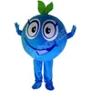 Performance Friuts Blueberry Mascot Costumes Cartoon Fancy Suit For Adult Animal Theme Mascotte Carnival Costume Halloween Fancy Dress