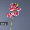 Dried Flowers Simulation Printing Phalaenopsis Potted Home Living Room Dining Table Wedding Artificial Fake Plants High Quality