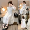 Girl's Dresses Kids Teenage Ruffles Neck Floral Embroidery White Sleeve Mesh Princess Long Dress Teens Girls Clothes