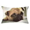 Kudde 30x50 cm söt hund djur täckning anpassad soffa kontor vardagsrum hem dekor kudde polyester fodral