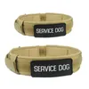 الياقات اليطانية بيرو personalizado الكلب الملحقات Pet Coleira Collier Chien Obroza DLA PSA Cachorro Para Halsband Hond Honden Pug Big