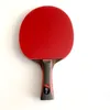 Table Tennis Raquets Lemuria Professional Carbon Fiber Table Tennis Racket Double Face Pimples-in Rubber 2.15MM Sponge FL Or CS Handle Ping Pong Bat 230612