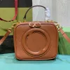 3A Designer Bag Women Crossbody Shoulder Handbag Stripe Camera Solid Color Fashion Purses Leather Shoulder Handbags Strap High Quality Zipper 744434 Purses