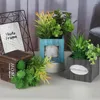 Fleurs décoratives plante simulée grande rosée de jade plantes succulentes artificielles bonsaï variété aléatoire sans pot de fleur