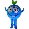 Performance Friuts Blueberry Mascot Costumes Cartoon Fancy Suit For Adult Animal Theme Mascotte Carnival Costume Halloween Fancy Dress