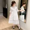 Girl's Dresses Kids Teenage Ruffles Neck Floral Embroidery White Sleeve Mesh Princess Long Dress Teens Girls Clothes