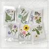 Fleurs décoratives 6 sacs / lot vraie fleur séchée vraie feuille mélange matériel sac bricolage Po cadre signet autocollant étui de téléphone portable colle goutte tasse tapis