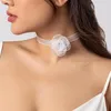 Choker Vintage White Spets Rose Flower Ribbon Halsband Kvinnors eleganta korta klavikelkedjor Party Jewelry Accessories